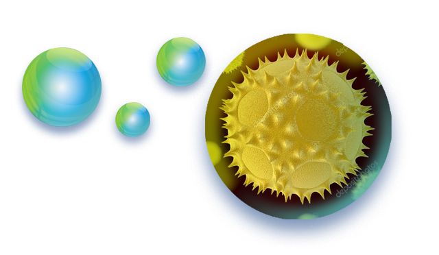 une graine de pollen à la loupe, allergie au pollen, éternuements, pollinose Zyrtecset