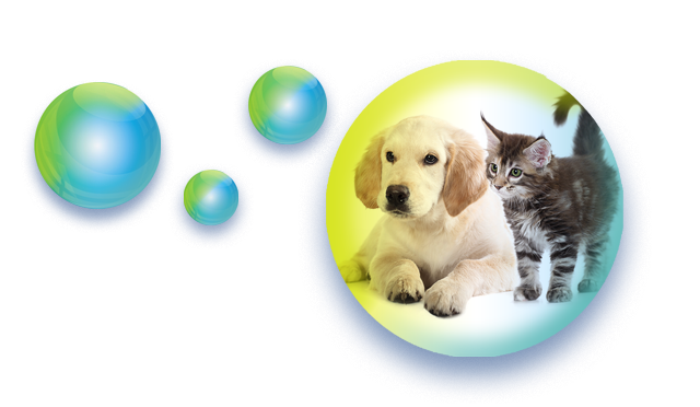 Allergie aux animaux, Allergie aux poils de chat, Allergie aux chiens, asthme