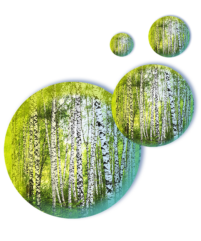 Bulles allergènes bouleau, Pneumallergènes, Allergie respiratoire