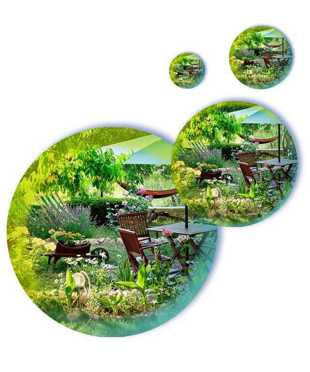 Allergènes du jardin, Allergie au pollen, plantes allergisantes, graminées