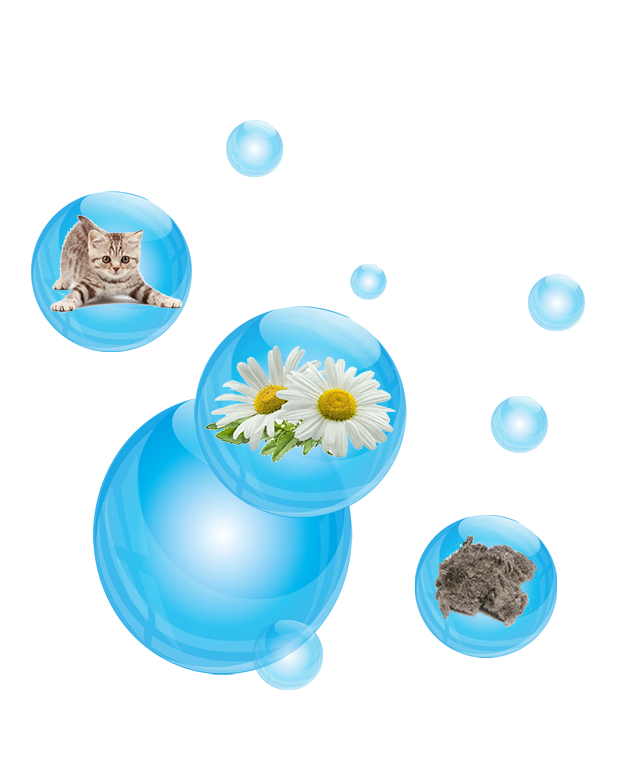 Zyrtecset, anti-allergique contre les poils d'animaux, le pollen, la poussière. Urticaire chronique idiopathique, allergie, rhinite